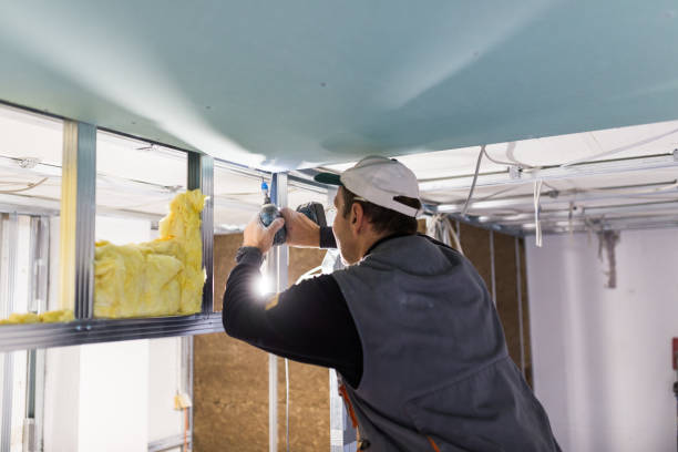 Best Geographic-Specific Insulation Services in Ridge, NY