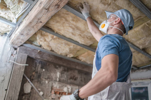 Best Residential Insulation in Ridge, NY